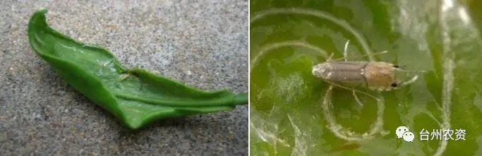 1675672533135786.jpg 640 (53).jpg